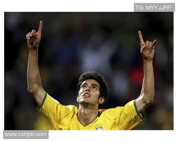 巴西队足球明星介绍及精彩瞬间集锦