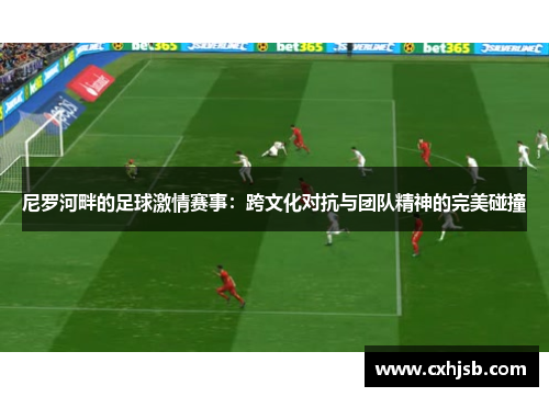 尼罗河畔的足球激情赛事：跨文化对抗与团队精神的完美碰撞